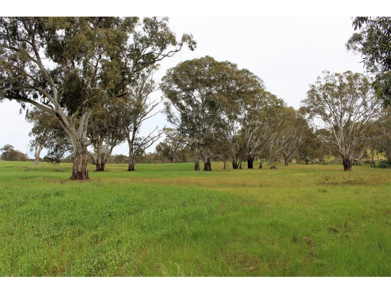 A21 Jutland Road, Springton SA 5235