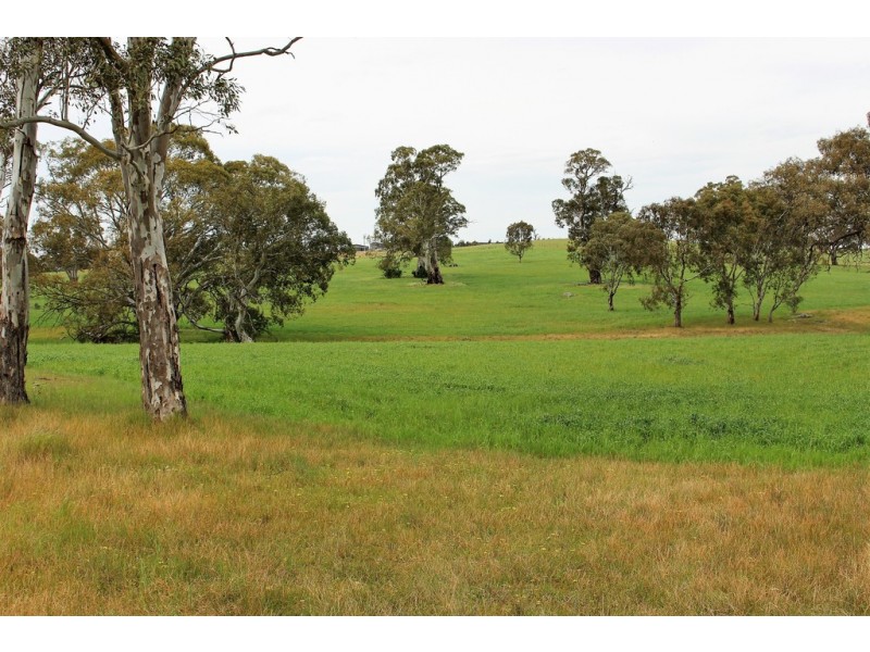 A21 Jutland Road, Springton SA 5235