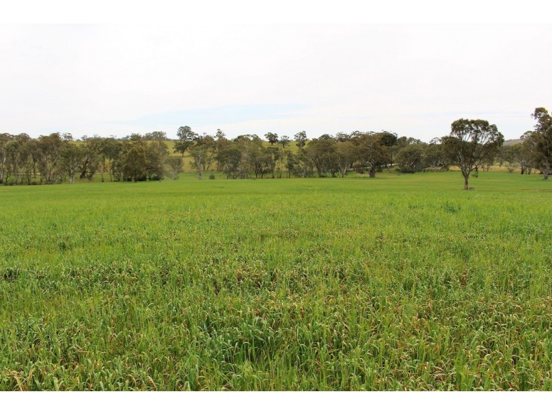 A21 Jutland Road, Springton SA 5235