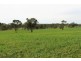 A21 Jutland Road, Springton SA 5235
