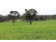 A21 Jutland Road, Springton SA 5235