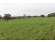 A21 Jutland Road, Springton SA 5235