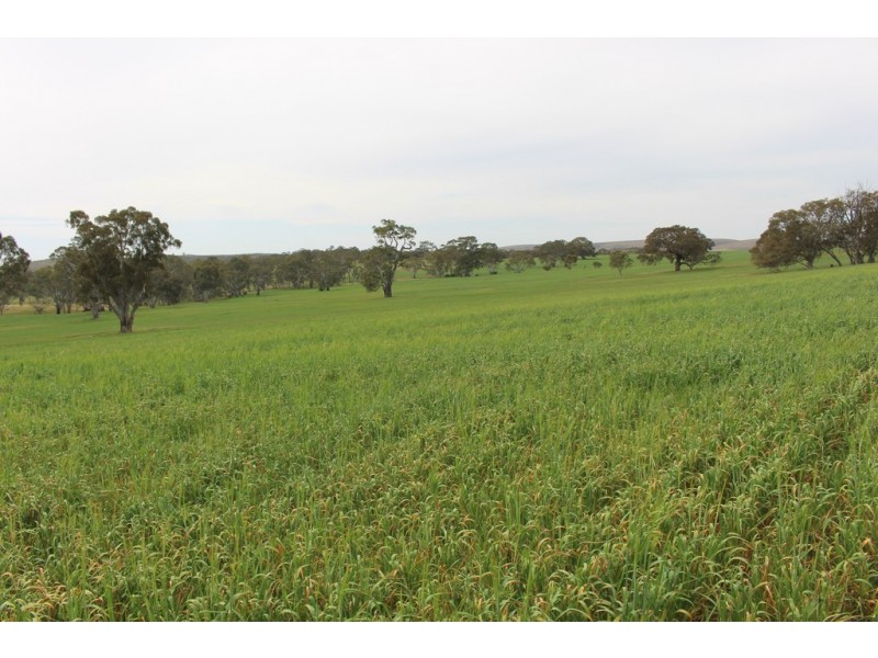 A21 Jutland Road, Springton SA 5235