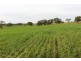A21 Jutland Road, Springton SA 5235