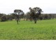 A21 Jutland Road, Springton SA 5235