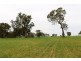 A21 Jutland Road, Springton SA 5235