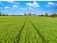 Lot 40 Bremer Station Road, Strathalbyn SA 5255