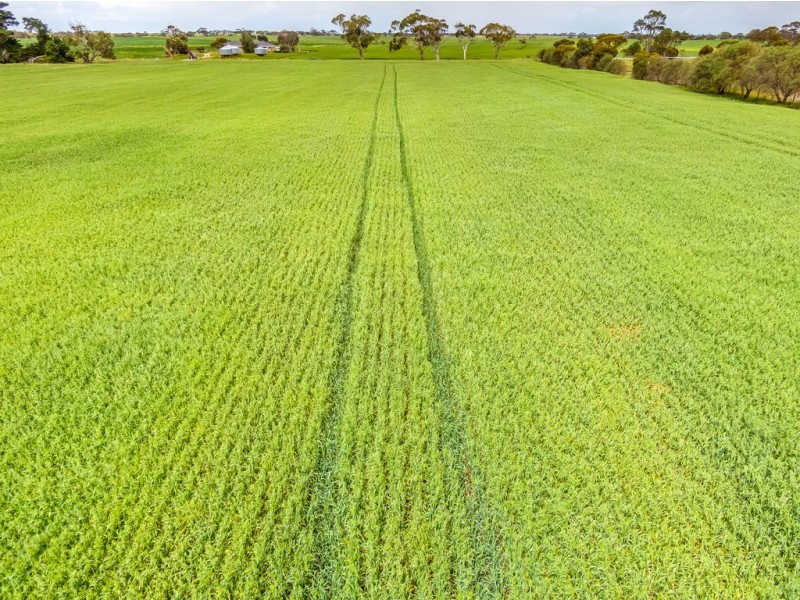 Lot 40 Bremer Station Road, Strathalbyn SA 5255