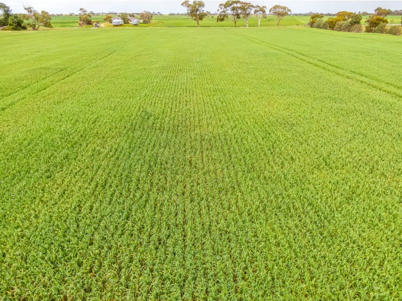 Lot 40 Bremer Station Road, Strathalbyn SA 5255