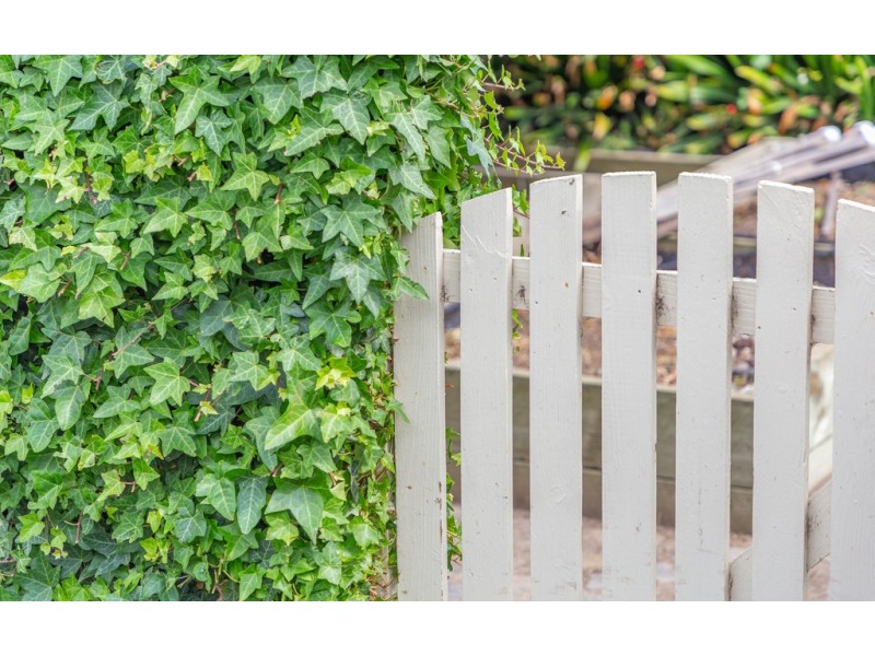 20 TOLMER COURT, Hayborough SA 5211