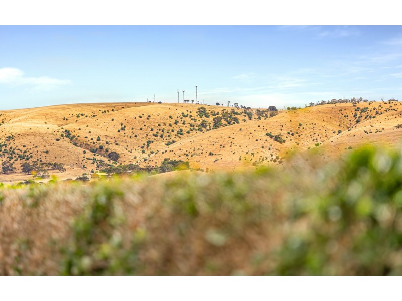 20 TOLMER COURT, Hayborough SA 5211