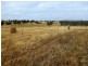 58 W Millers Road, Springton SA 5235