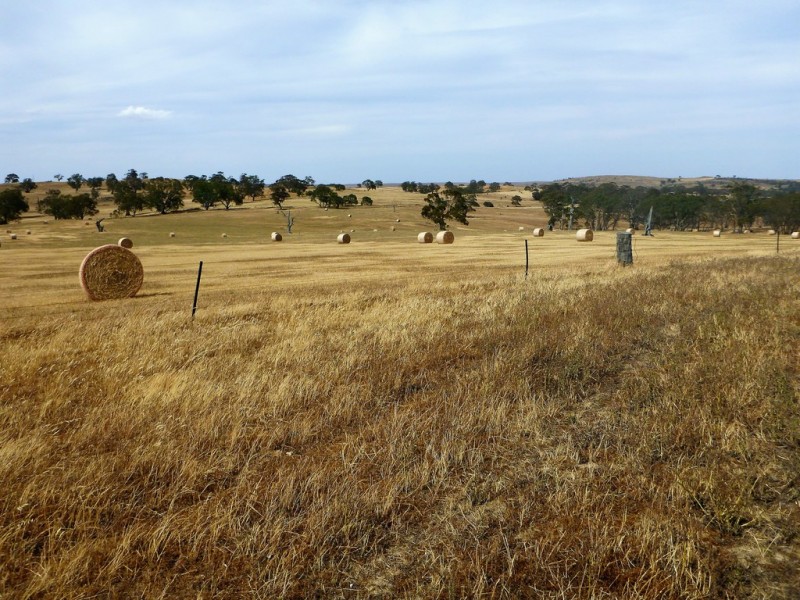 58 W Millers Road, Springton SA 5235