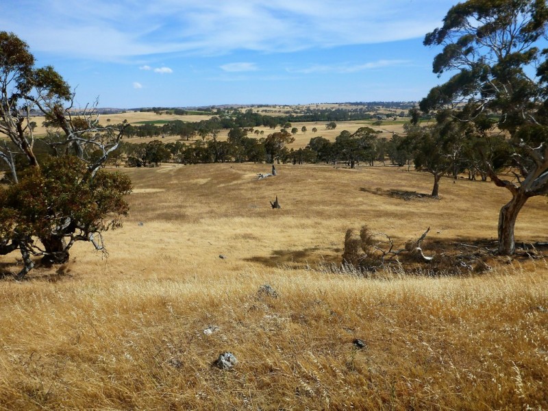 58 W Millers Road, Springton SA 5235