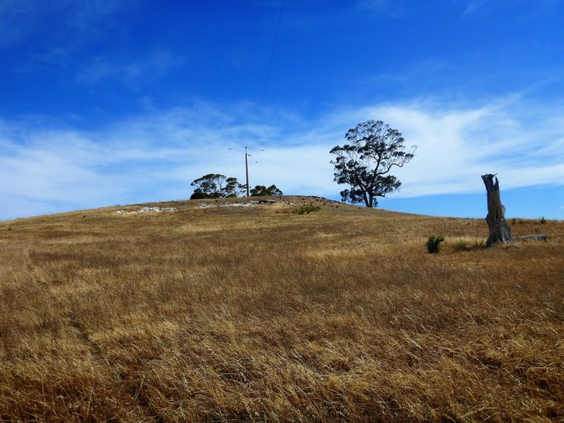 58 W Millers Road, Springton SA 5235