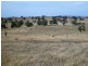 58 W Millers Road, Springton SA 5235