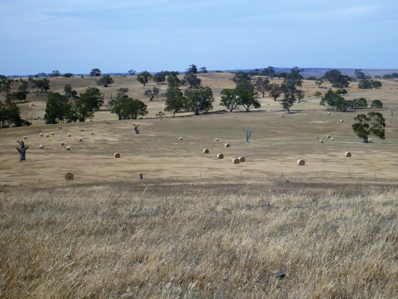 58 W Millers Road, Springton SA 5235