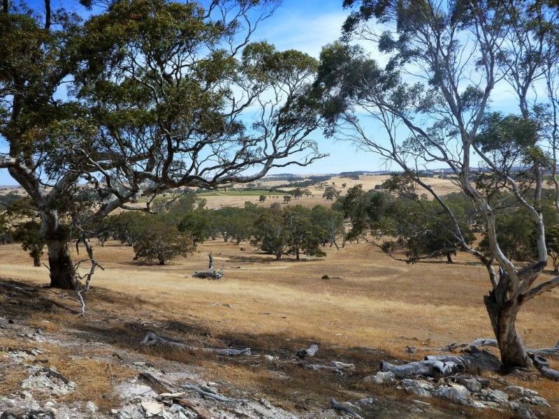 58 W Millers Road, Springton SA 5235