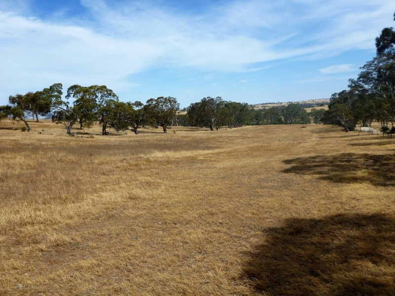 58 W Millers Road, Springton SA 5235