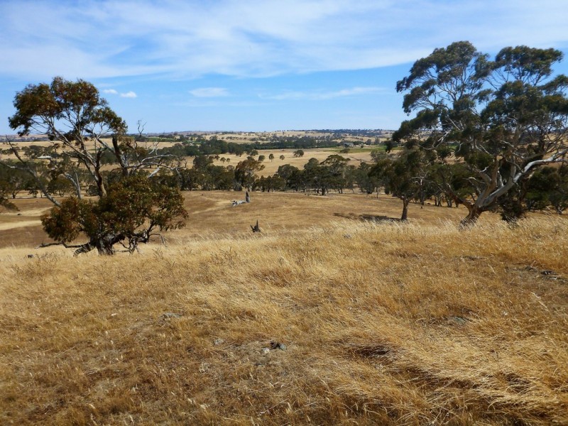 58 W Millers Road, Springton SA 5235