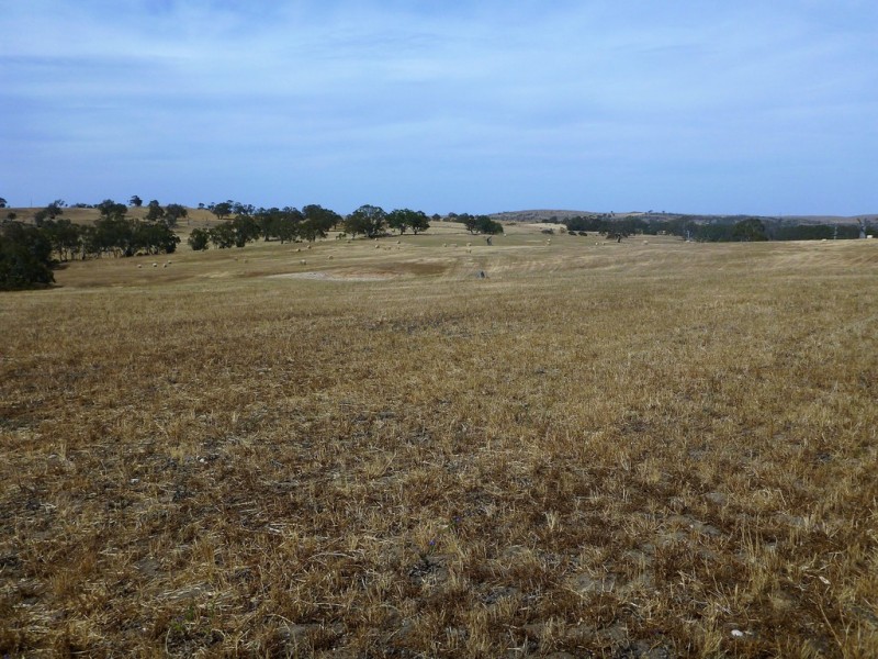 58 W Millers Road, Springton SA 5235