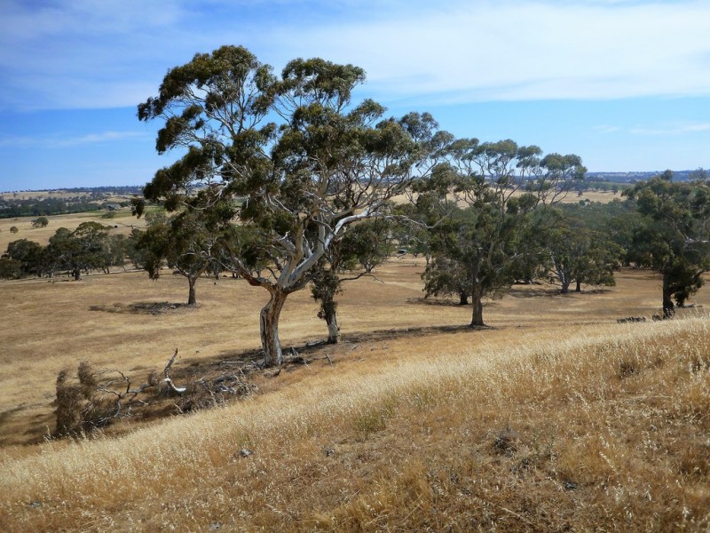 58 W Millers Road, Springton SA 5235