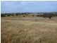 58 W Millers Road, Springton SA 5235