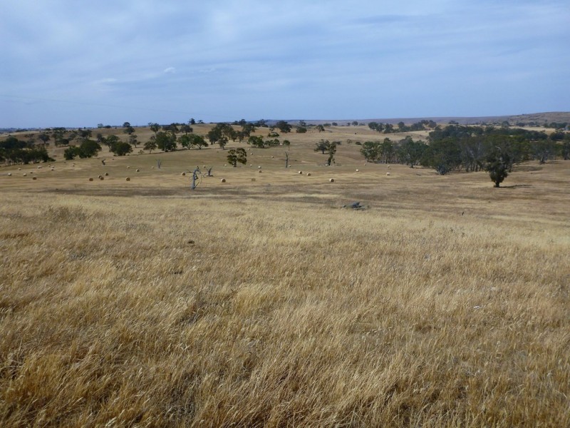 58 W Millers Road, Springton SA 5235