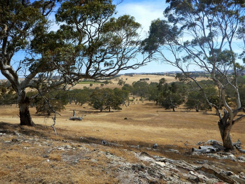 58 W Millers Road, Springton SA 5235