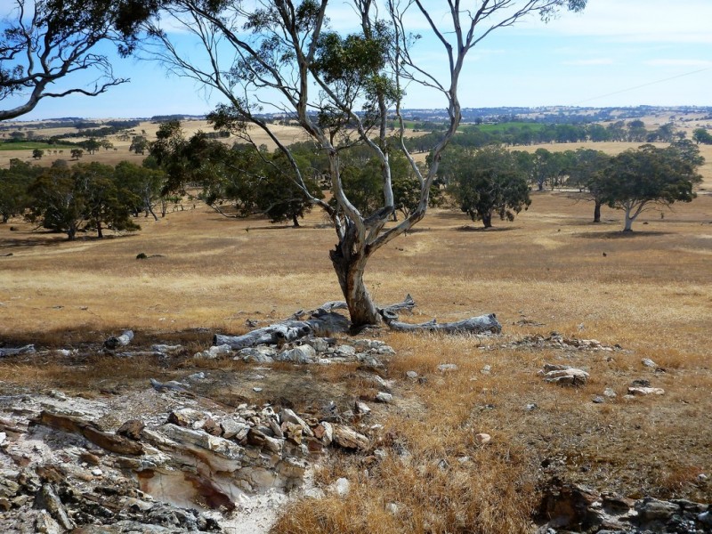 58 W Millers Road, Springton SA 5235