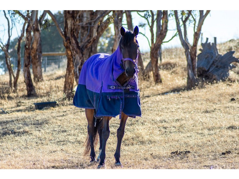 Lot 15 FERRIER DRIVE, Waitpinga SA 5211