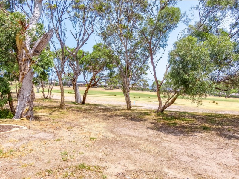 156 COROMANDEL DRIVE, Mccracken SA 5211