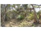 Lot 202 Greenhills Road, Victor Harbor SA 5211
