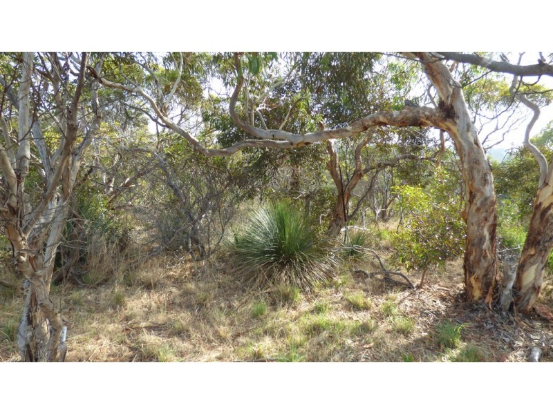 Lot 202 Greenhills Road, Victor Harbor SA 5211