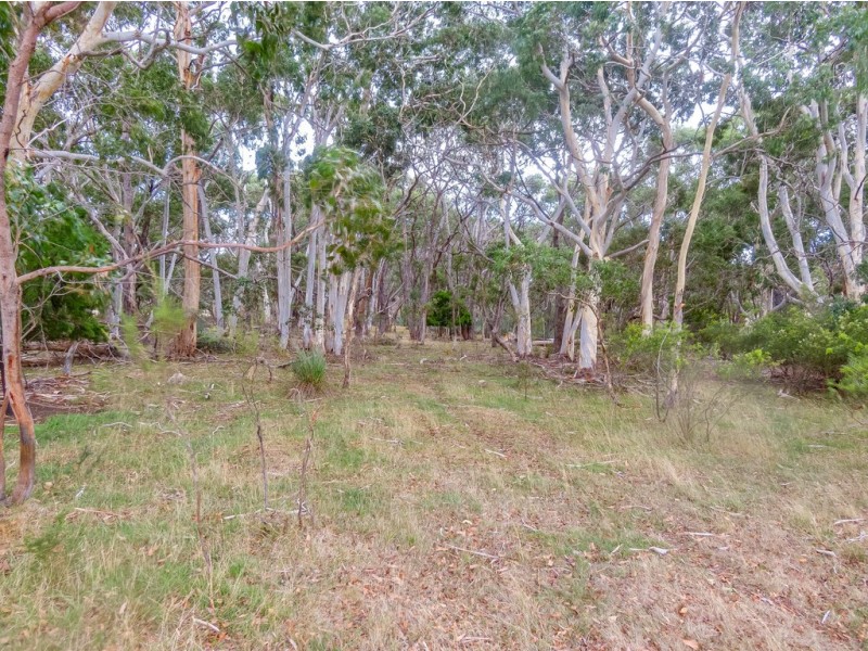 45 Yundi Lane, Yundi SA 5172