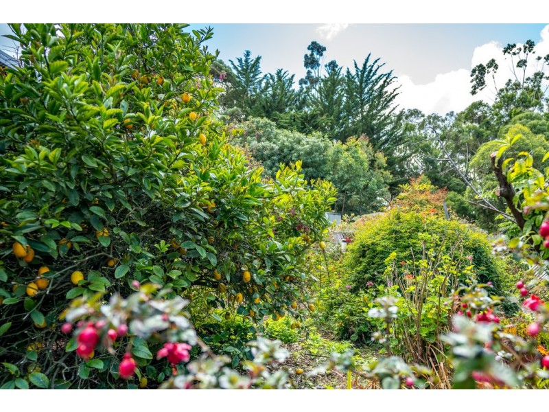 787 Springmount Road, Inman Valley SA 5211