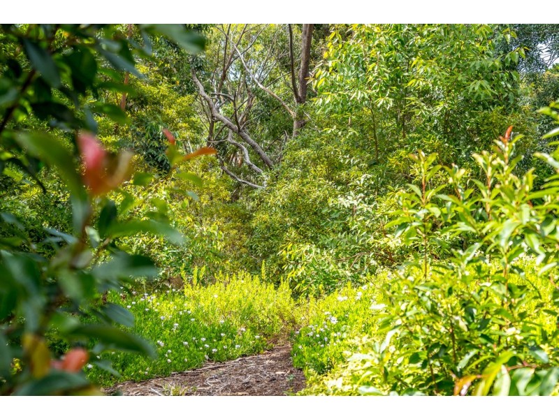 787 Springmount Road, Inman Valley SA 5211