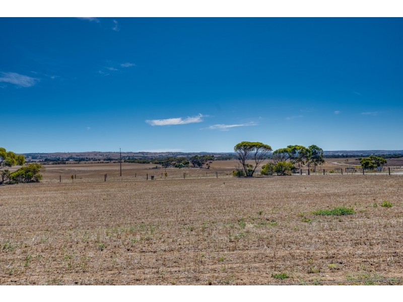 685 Nurragi Road, Strathalbyn SA 5255