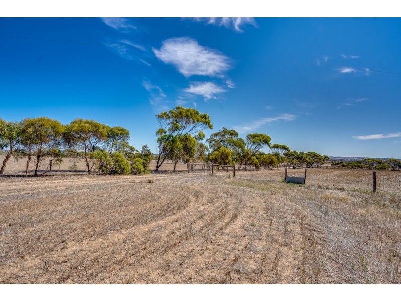 685 Nurragi Road, Strathalbyn SA 5255