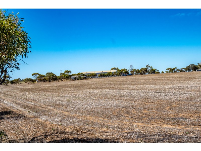 685 Nurragi Road, Strathalbyn SA 5255