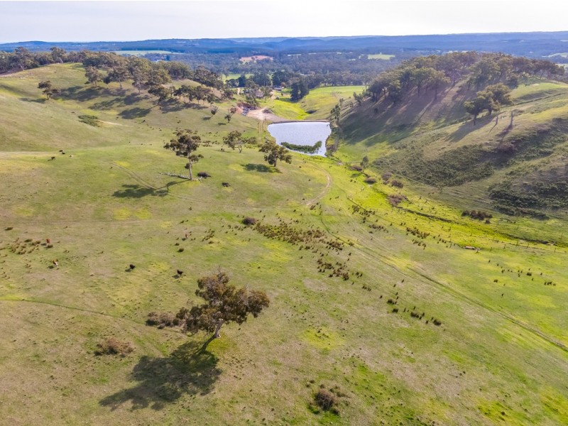 97 Rodert Road, Meadows SA 5201