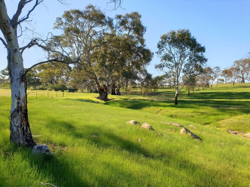 A3 Church Road, Springton SA 5235