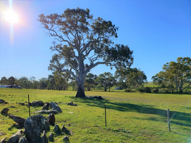 A3 Church Road, Springton SA 5235