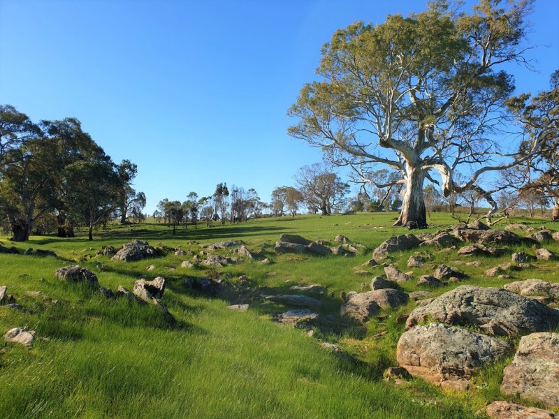 A3 Church Road, Springton SA 5235