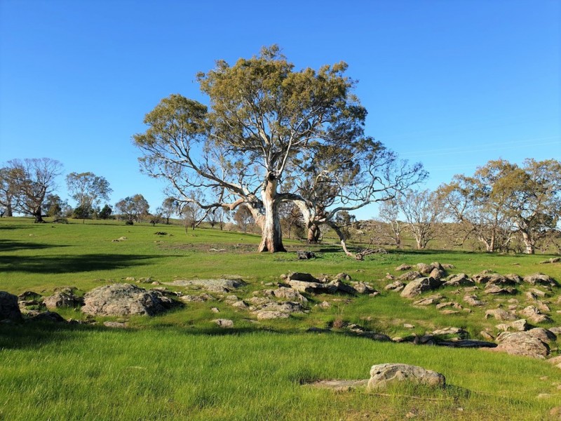 A3 Church Road, Springton SA 5235