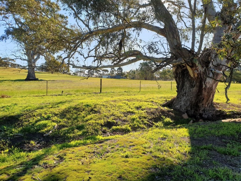 A3 Church Road, Springton SA 5235