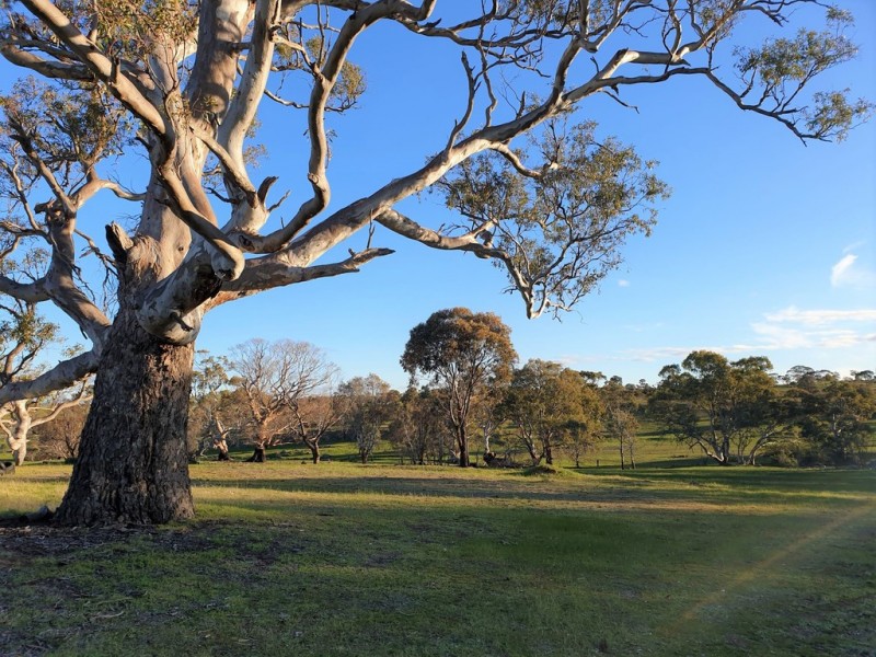 A3 Church Road, Springton SA 5235