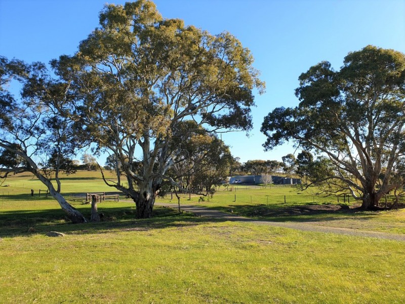 A3 Church Road, Springton SA 5235