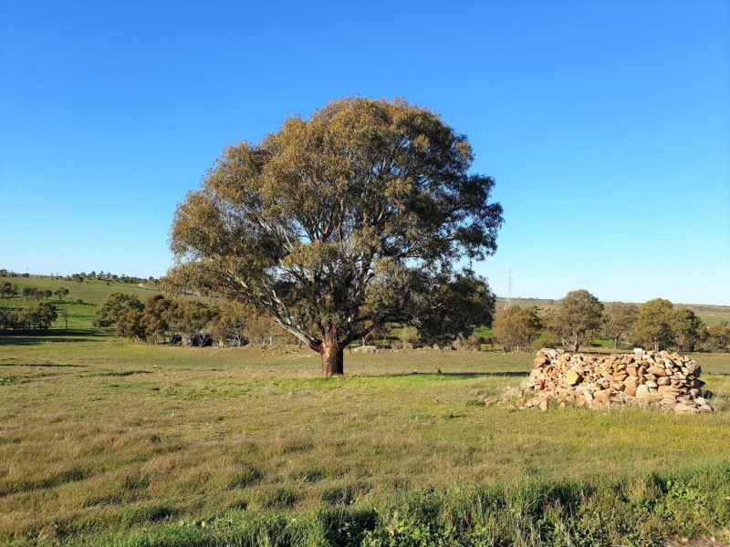 A3 Church Road, Springton SA 5235