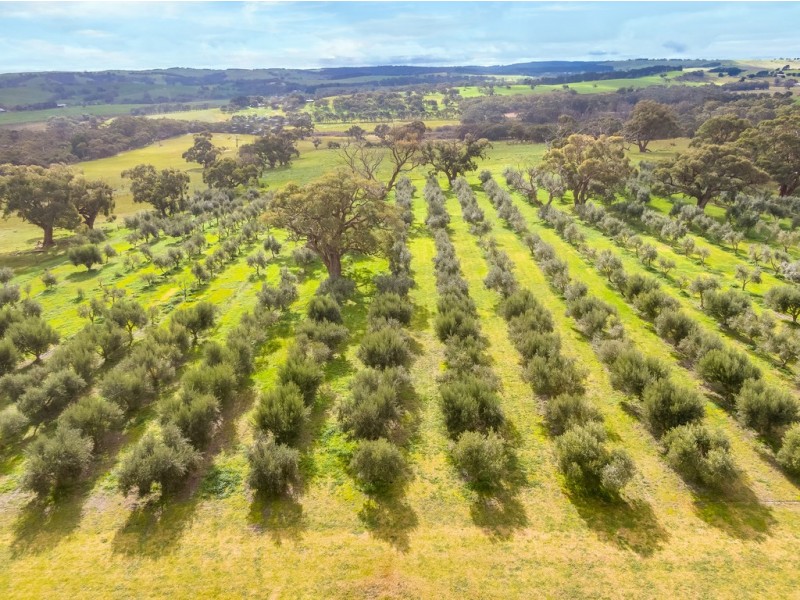 205 Lawless Lane, Myponga SA 5202